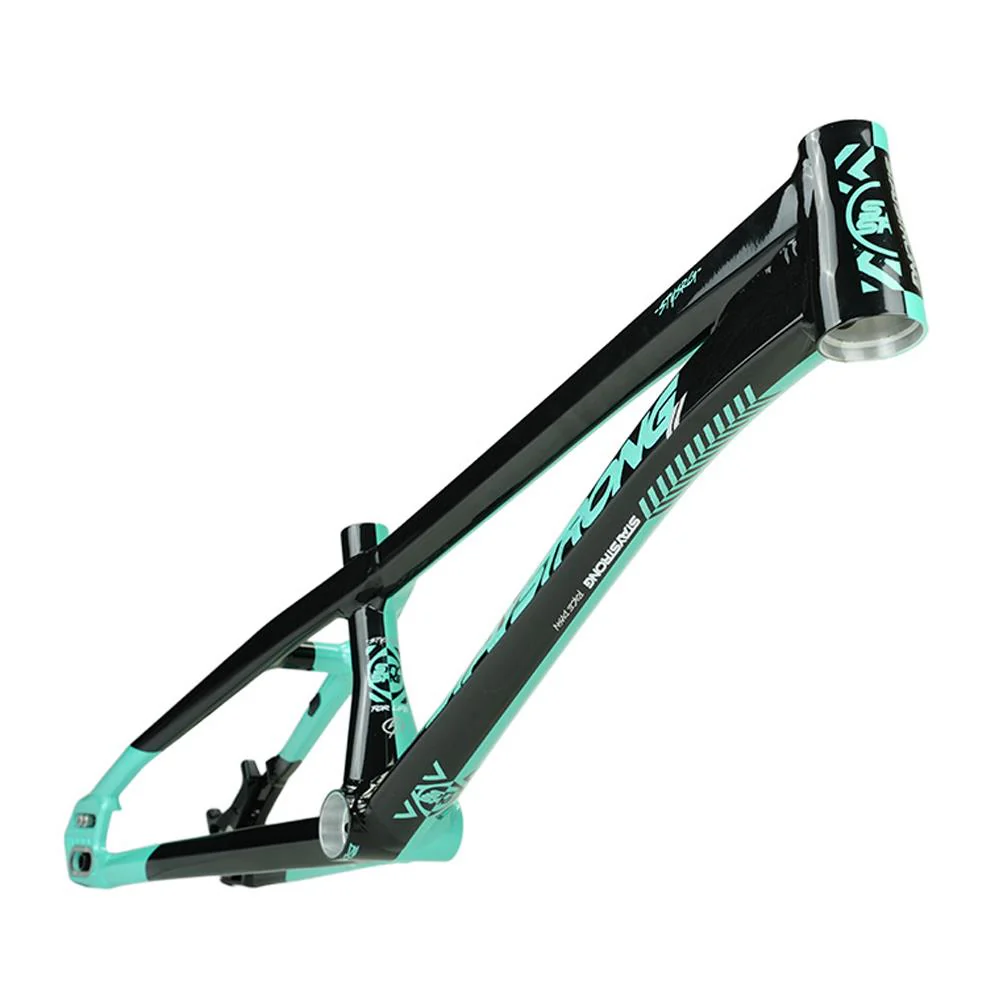 Stay Strong For Life V5.1 Cruiser Expert XL Frame - Image 29