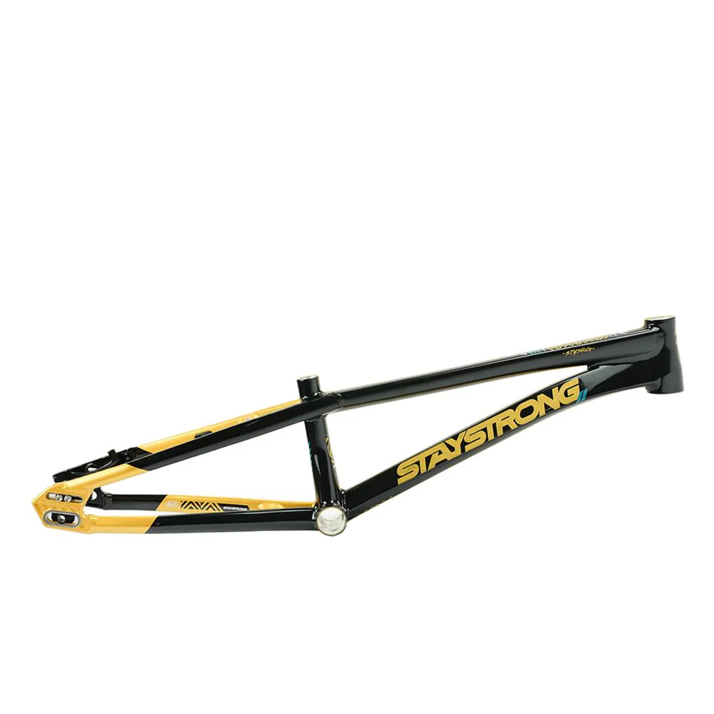 Stay Strong For Life V5.1 Cruiser Expert XL Frame - Image 8
