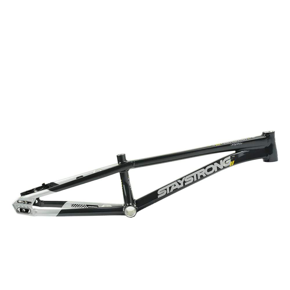 Stay Strong For Life V5.1 Expert Frame - Image 10