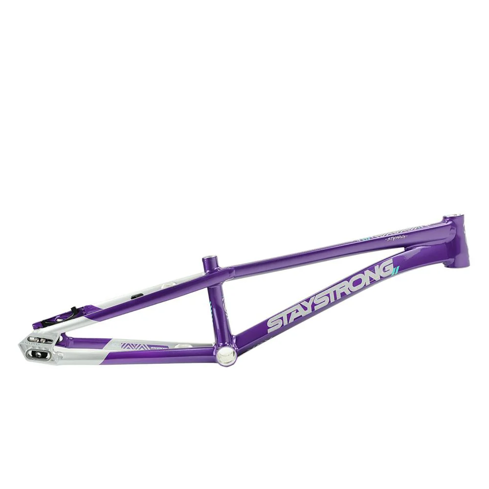 Stay Strong For Life V5.1 Expert Frame - Image 17