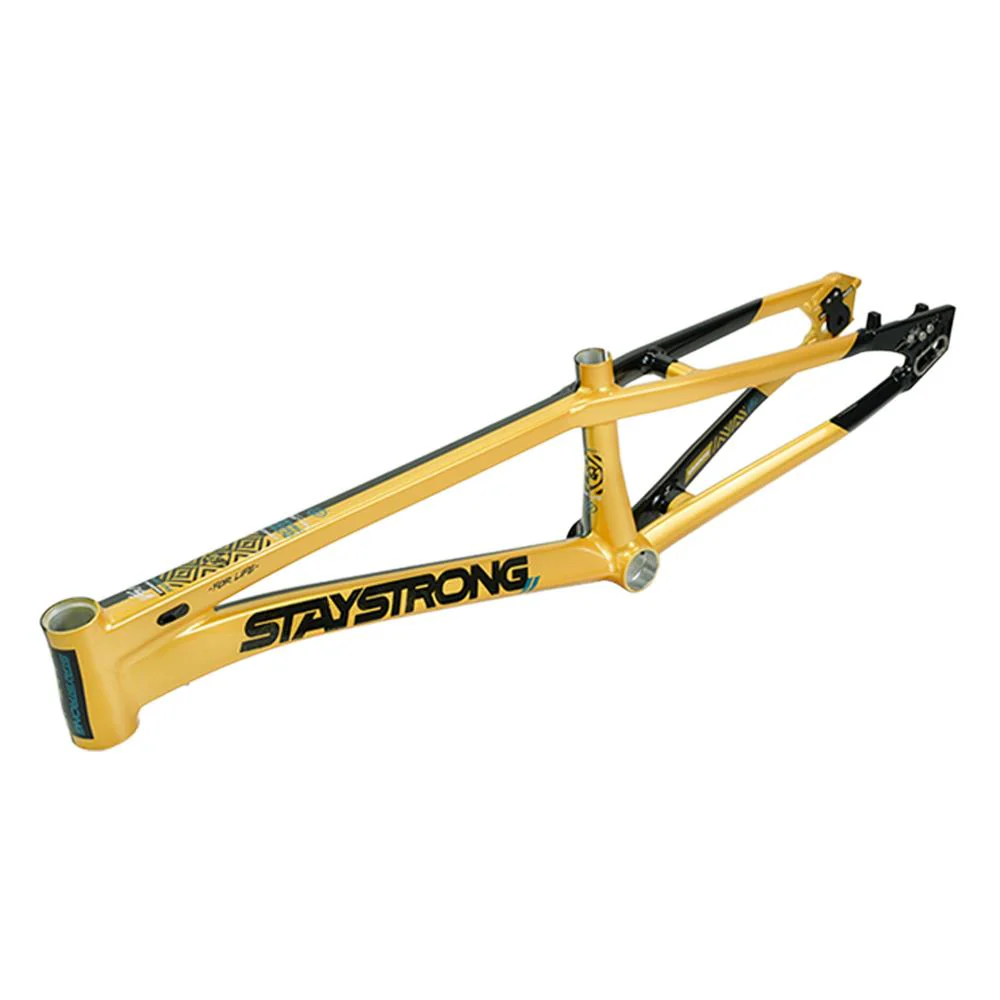 Stay Strong For Life V5.1 Expert Frame - Image 40