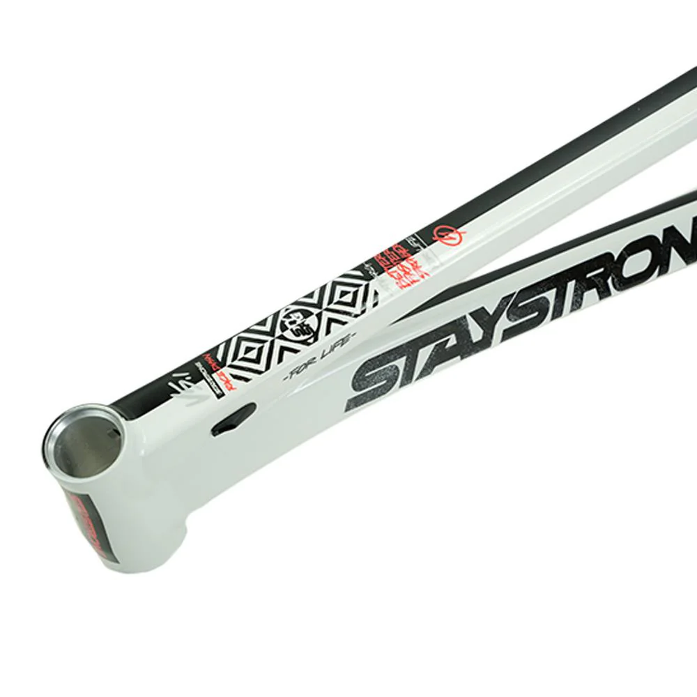 Stay Strong For Life V5.1 Junior Frame - Image 17