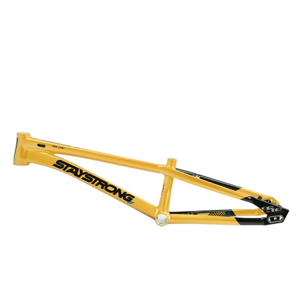 Stay Strong For Life V5.1 Junior Frame - Image 2