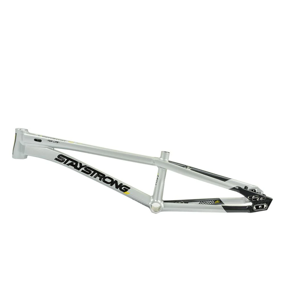 Stay Strong For Life V5.1 Junior Frame - Image 29