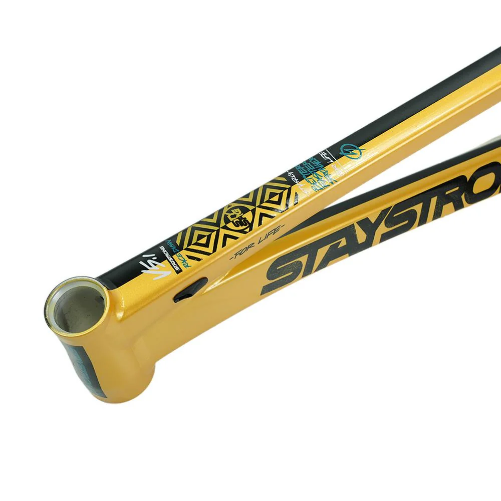 Stay Strong For Life V5.1 Junior Frame - Image 9