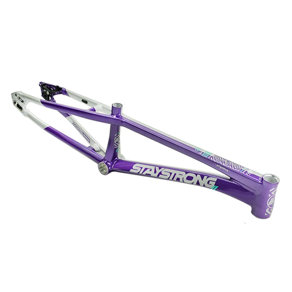 Stay Strong For Life V5.1 Mini Frame - Image 12