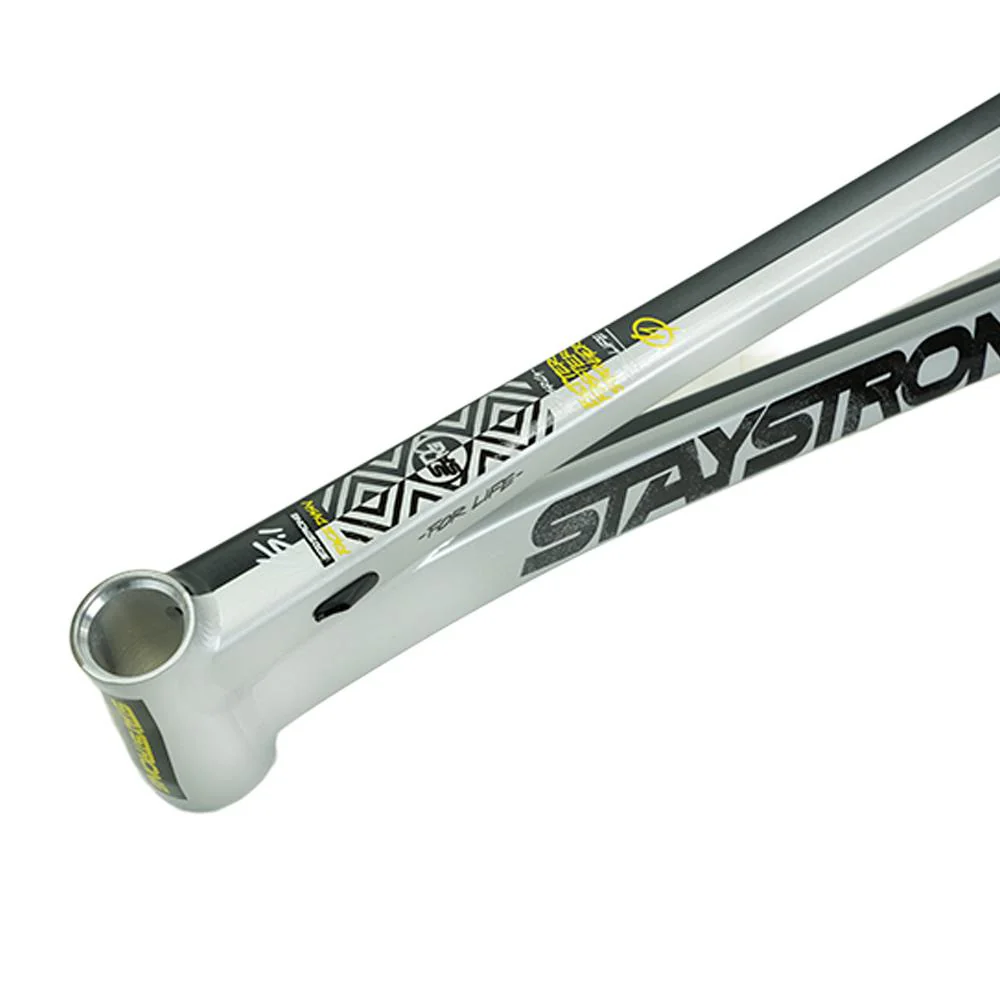 Stay Strong For Life V5.1 Mini Frame - Image 7
