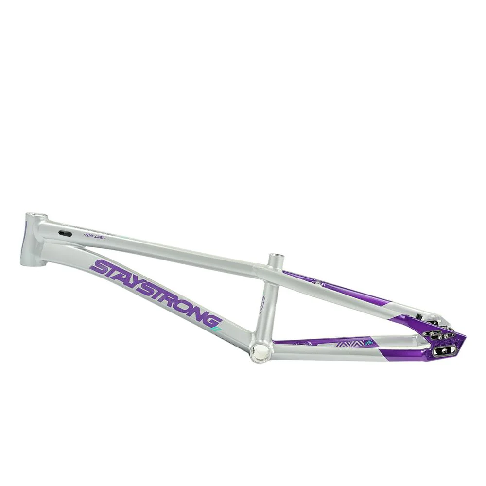 Stay Strong For Life V5.1 Mini Frame - Image 9