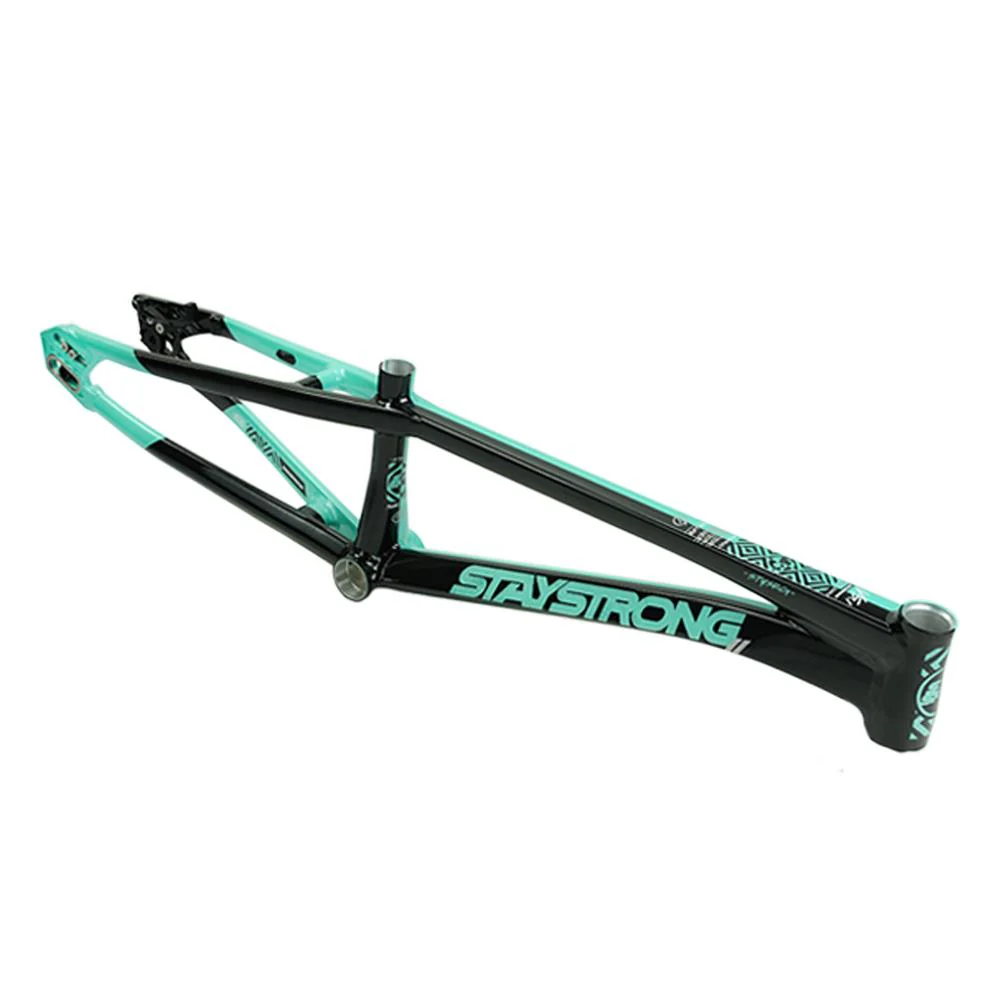 Stay Strong For Life V5.1 Pro Cruiser Frame - Image 14