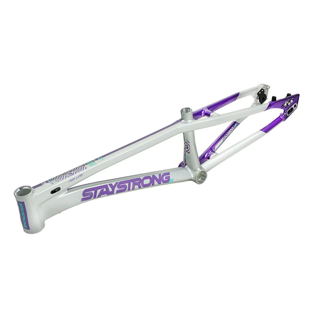 Stay Strong For Life V5.1 Pro Cruiser Frame - Image 40