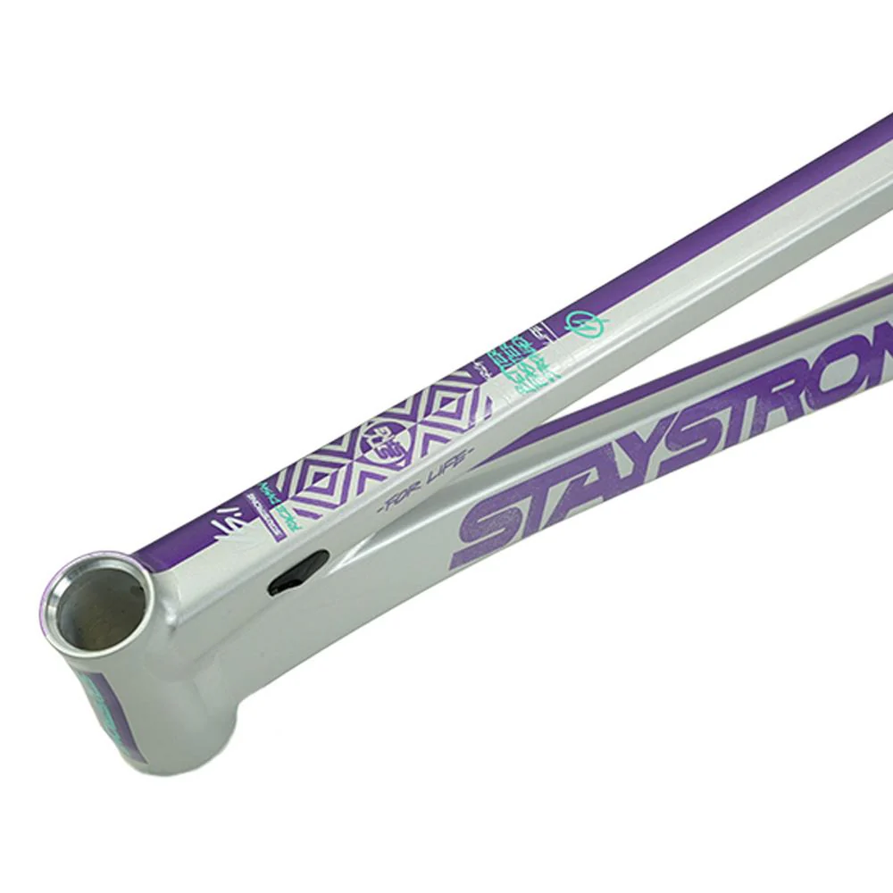 Stay Strong For Life V5.1 Pro Cruiser Frame - Image 43