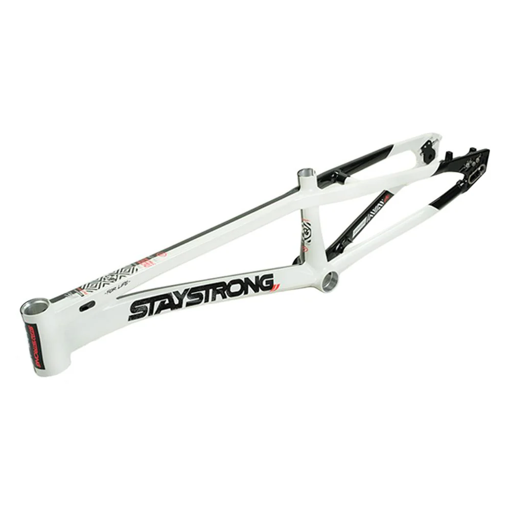 Stay Strong For Life V5.1 Pro XL Frame - Image 22