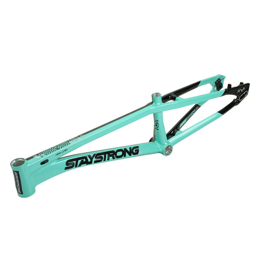 Stay Strong For Life V5.1 Pro XXL Cruiser Frame - Image 22