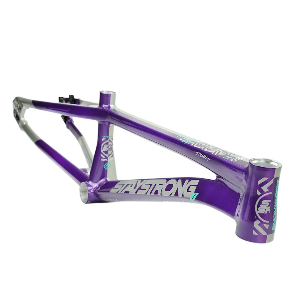 Stay Strong For Life V5.1 Pro XXL Cruiser Frame - Image 28