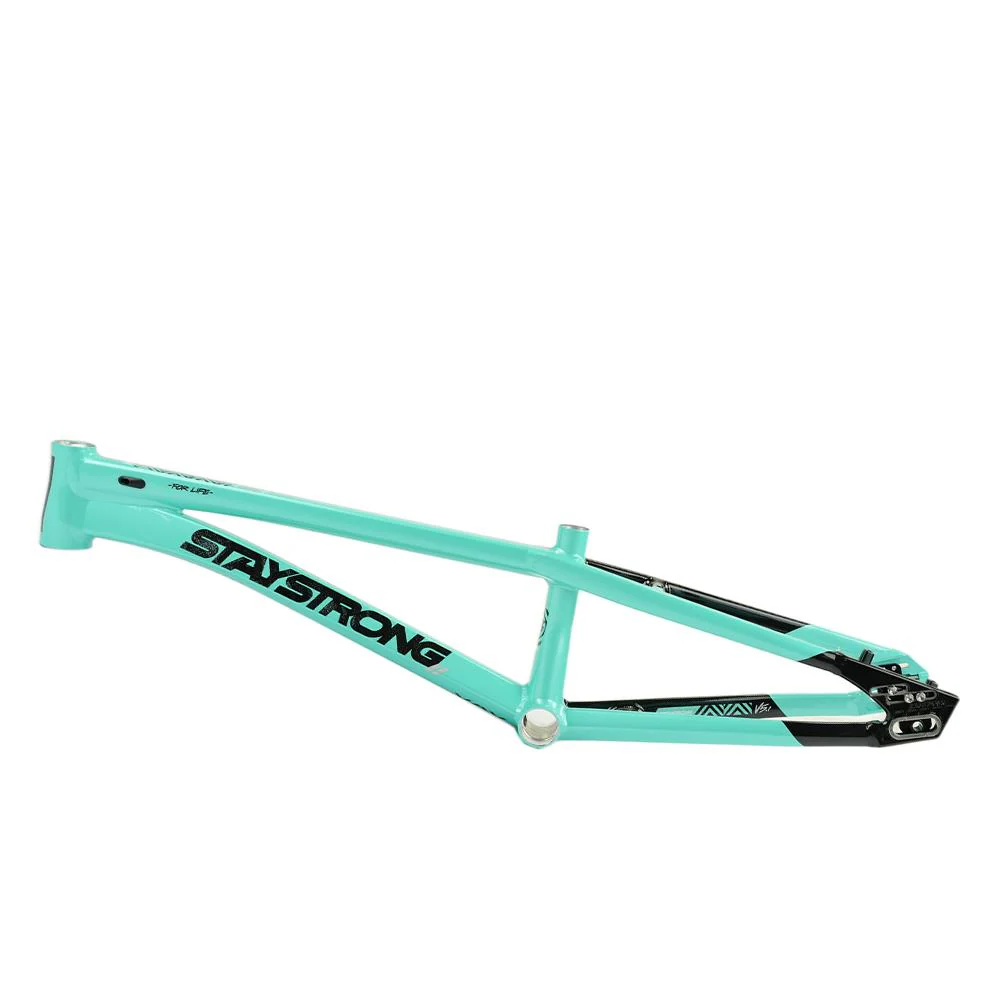 Stay Strong For Life V5.1 Pro XXL Frame - Image 20