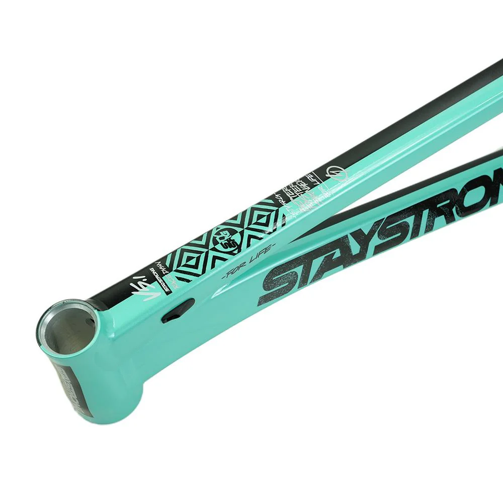 Stay Strong For Life V5.1 Pro XXL Frame - Image 27