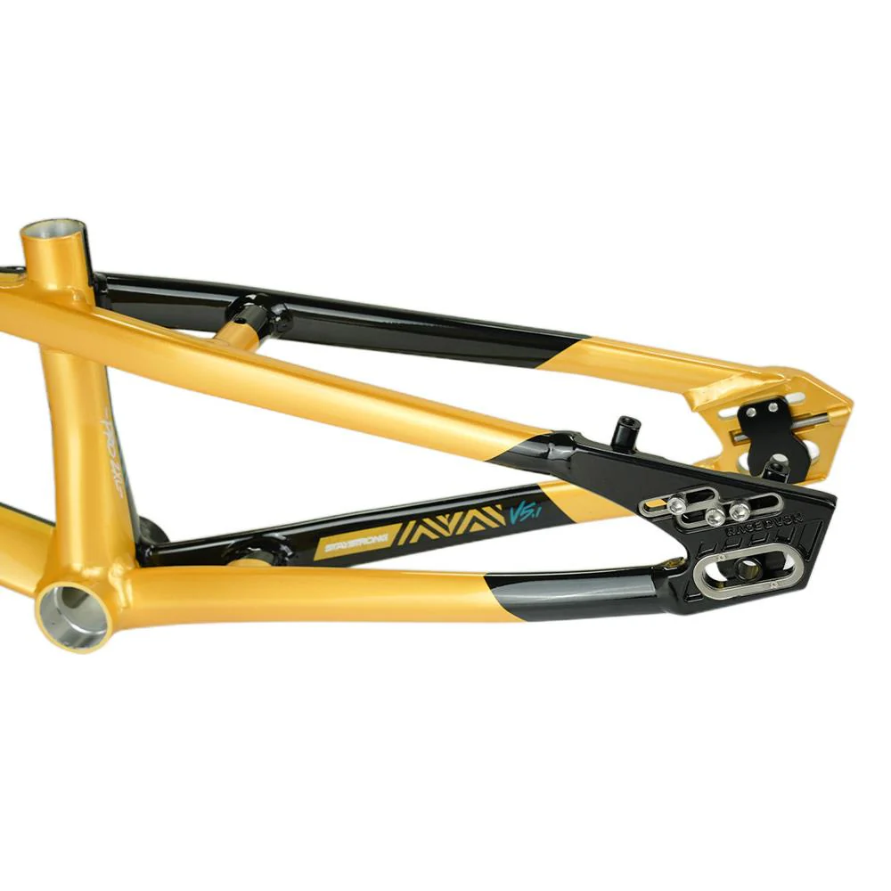 Stay Strong For Life V5.1 Pro XXL Frame - Image 35