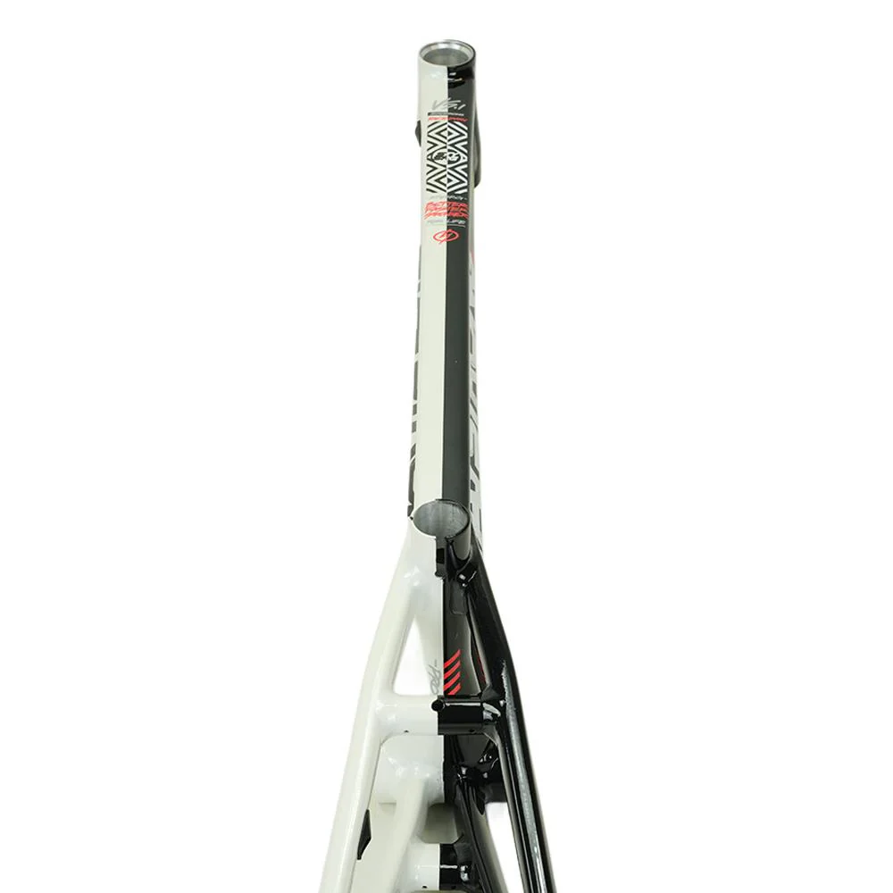 Stay Strong For Life V5.1 Pro XXXL Frame - Image 32