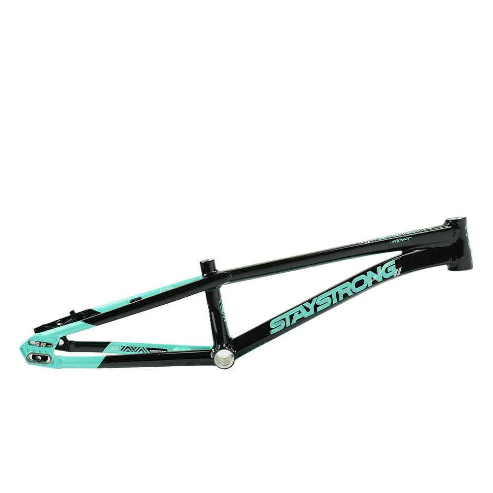 Stay Strong For Life V5.1 Pro XXXL Frame - Image 35