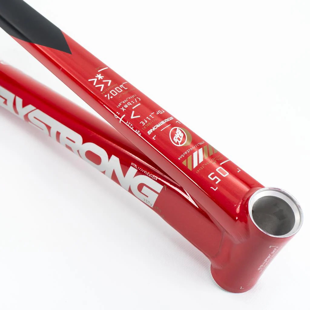 Stay Strong For Life V5 Cruiser Expert XL Frame 2025 - Image 2
