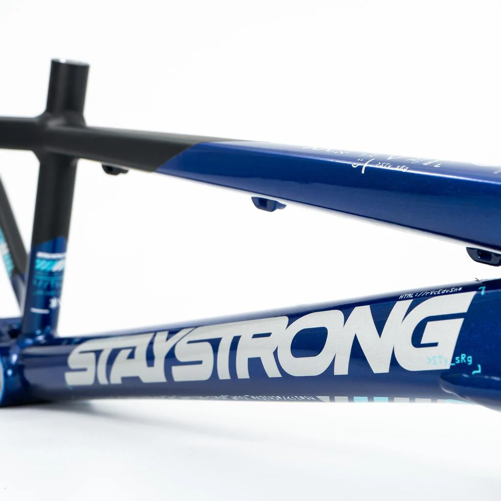 Stay Strong For Life V5 Cruiser Expert XL Frame 2025 - Image 7