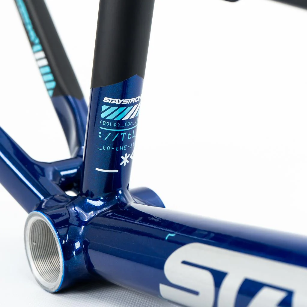 Stay Strong For Life V5 Cruiser Expert XL Frame 2025 - Image 8