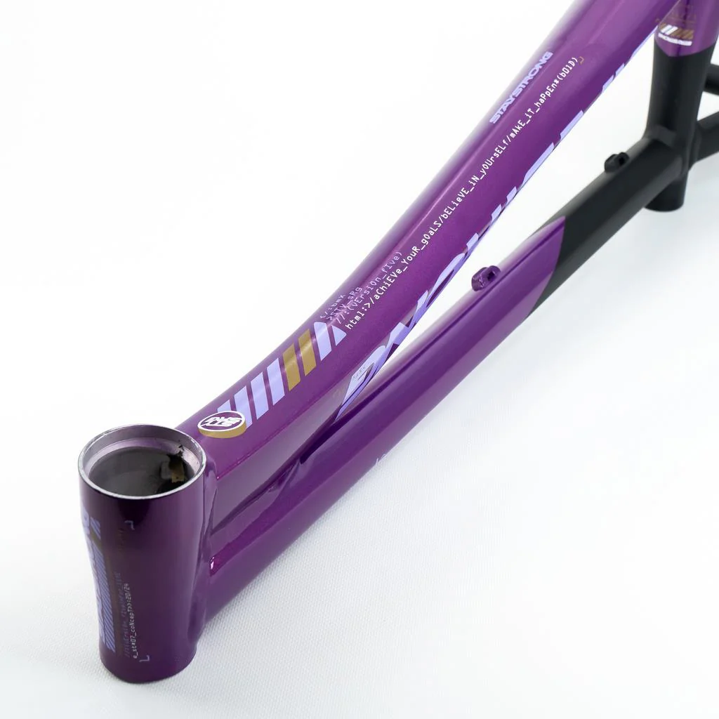 Stay Strong For Life V5 Cruiser XXL Frame 2025 - Image 6