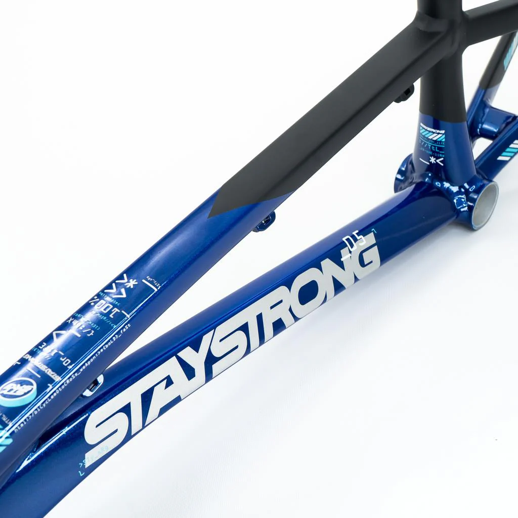 Stay Strong For Life V5 Cruiser XXL Frame 2025 - Image 9