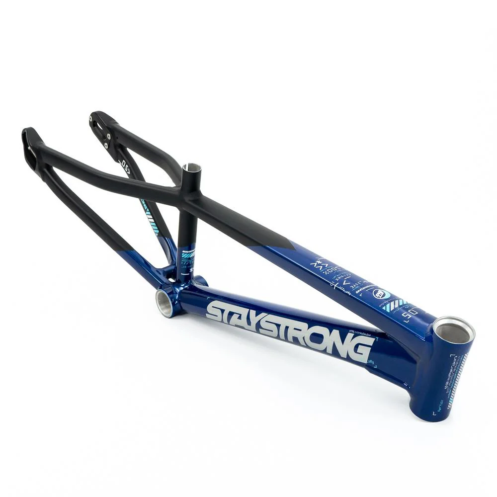 Stay Strong For Life V5 Expert Frame 2025 - Image 14