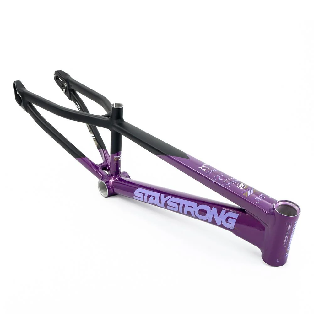 Stay Strong For Life V5 Expert Frame 2025 - Image 15