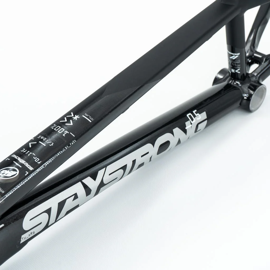 Stay Strong For Life V5 Expert Frame 2025 - Image 3
