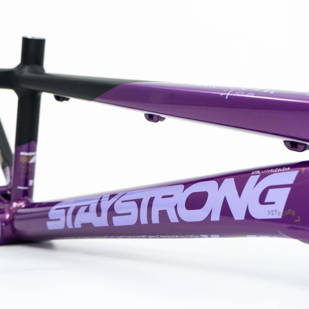 Stay Strong For Life V5 Expert Frame 2025 - Image 8