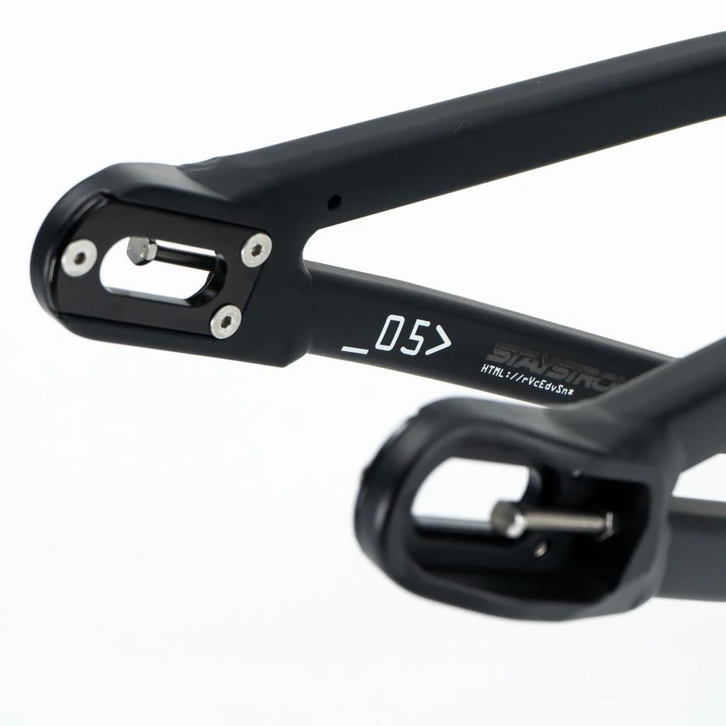 Stay Strong For Life V5 Expert XL Frame 2025 - Image 12