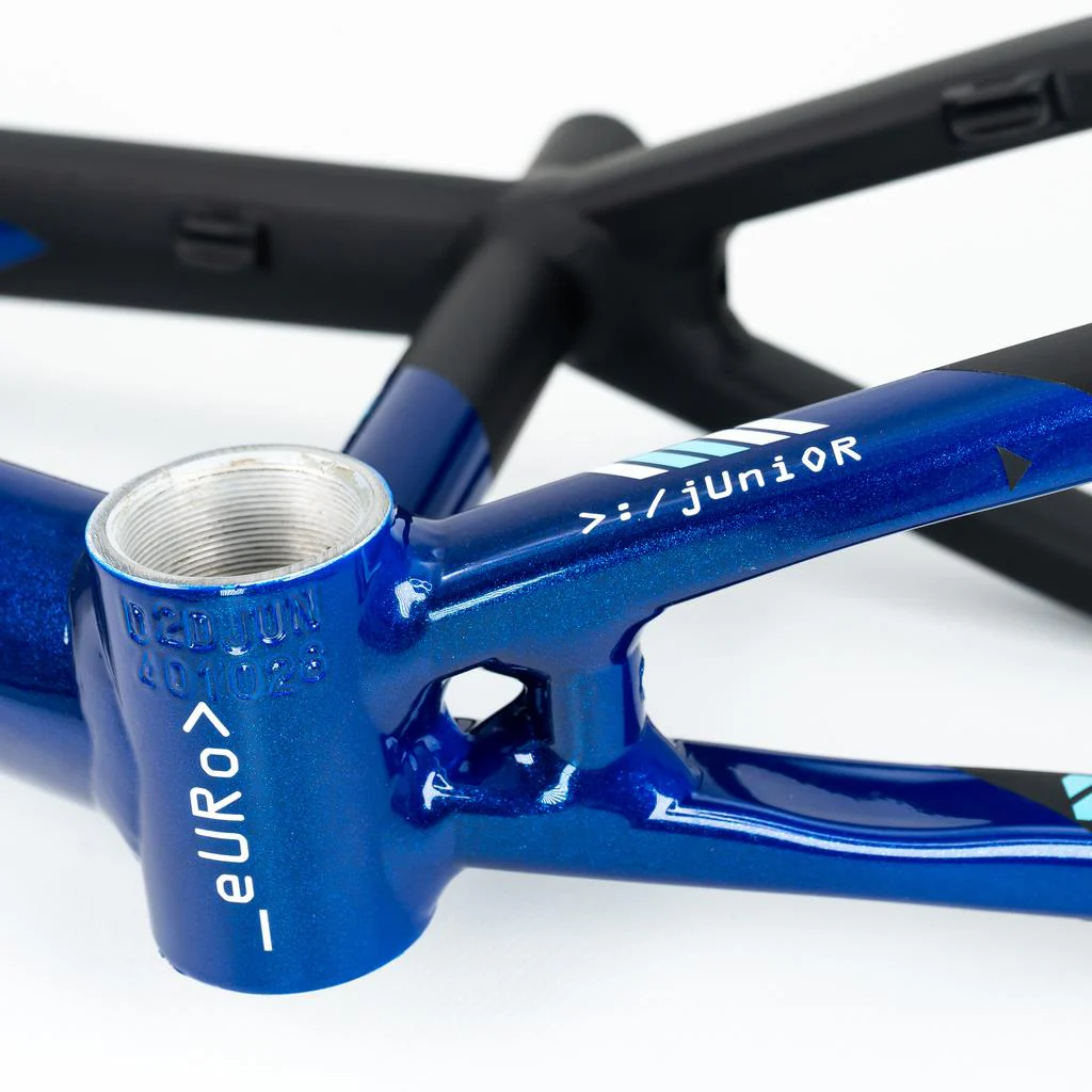 Stay Strong For Life V5 Junior Frame 2025 - Image 10