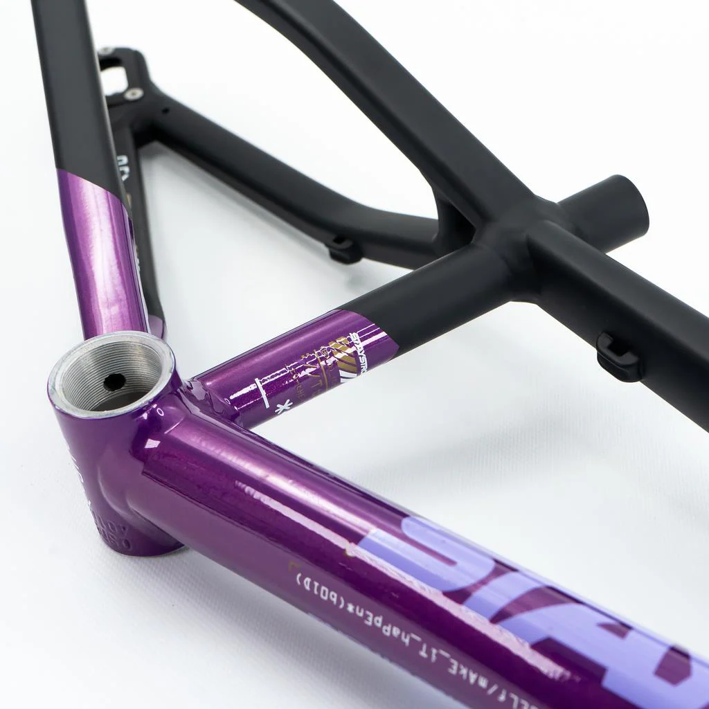 Stay Strong For Life V5 Junior Frame 2025 - Image 4