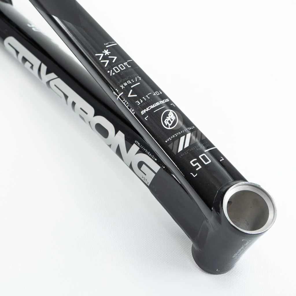 Stay Strong For Life V5 Mini Frame 2025 - Image 10