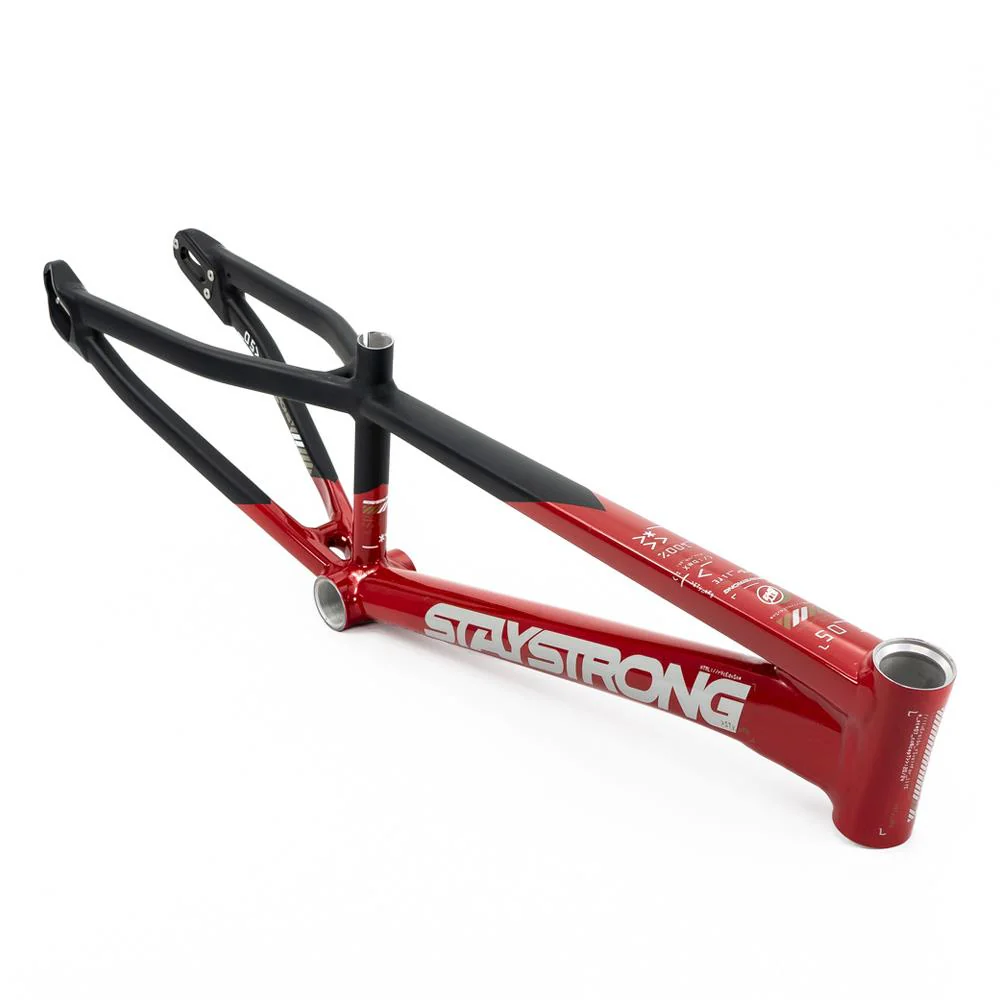 Stay Strong For Life V5 Mini Frame 2025 - Image 4