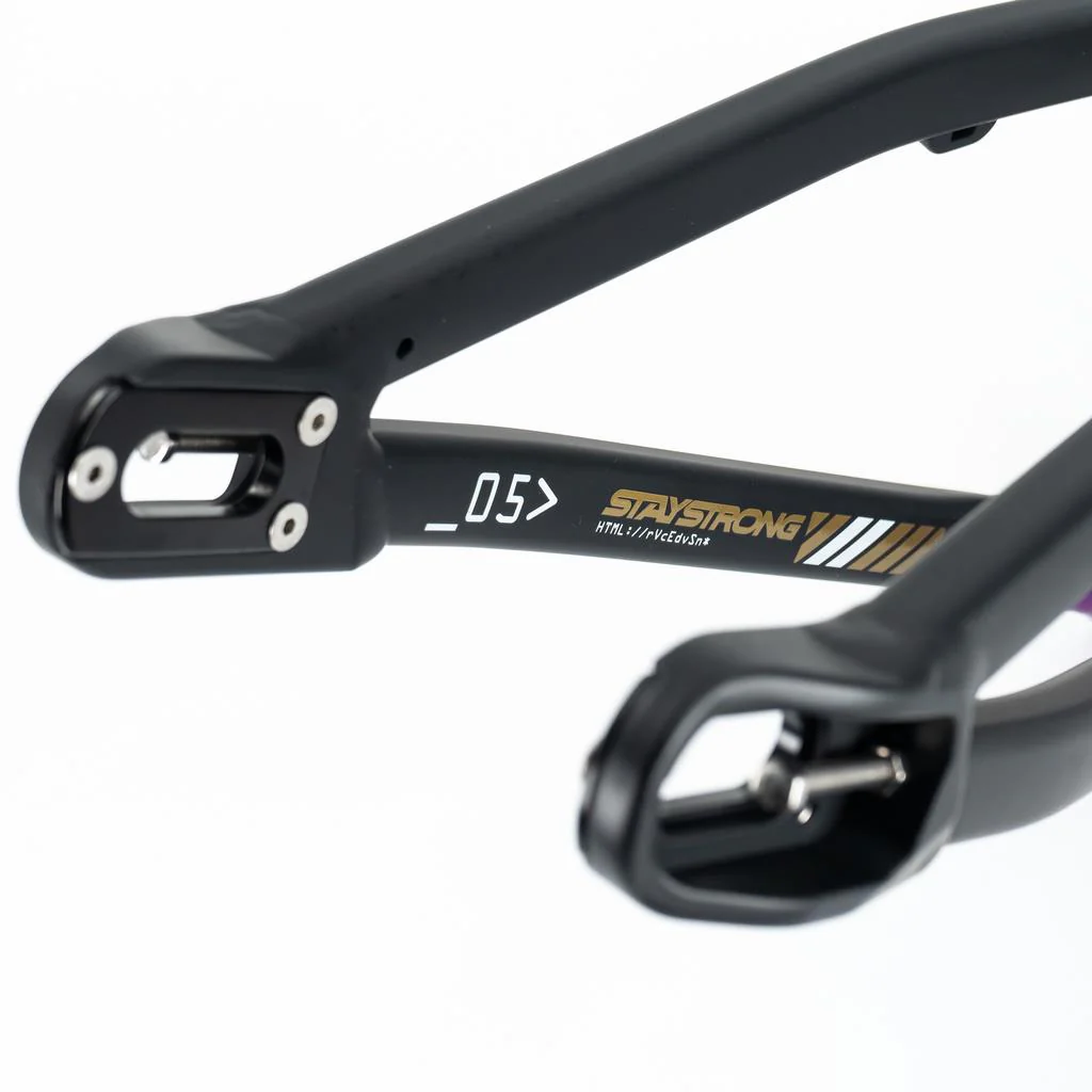 Stay Strong For Life V5 Mini Frame 2025 - Image 7