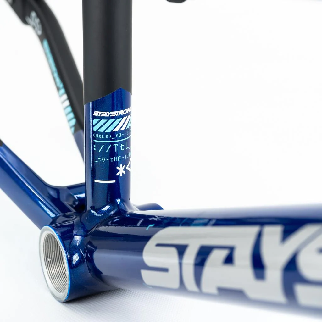 Stay Strong For Life V5 Mini Frame 2025 - Image 8