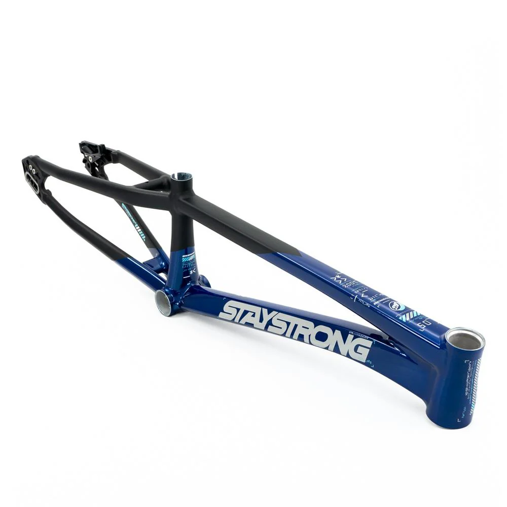 Stay Strong For Life V5 Pro Frame 2025 - Image 16