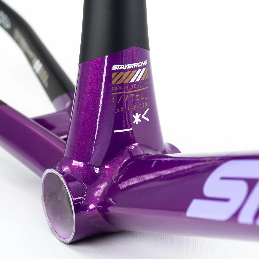 Stay Strong For Life V5 Pro Frame 2025 - Image 9