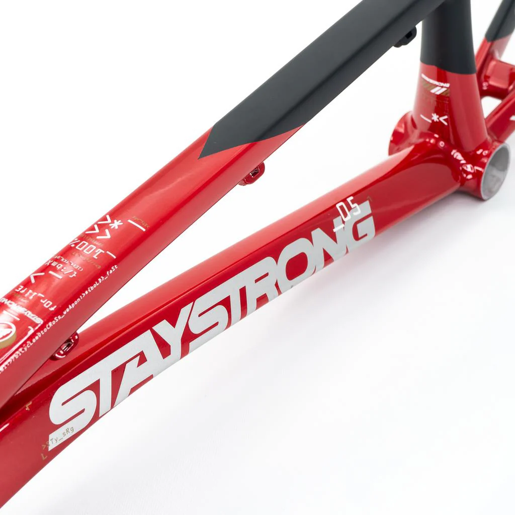 Stay Strong For Life V5 Pro XXL Frame 2025 - Image 10