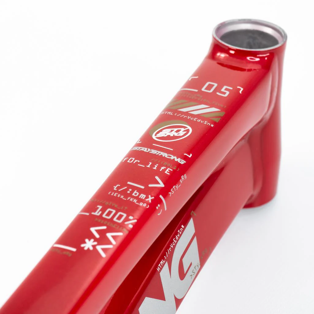 Stay Strong For Life V5 Pro XXL Frame 2025 - Image 11