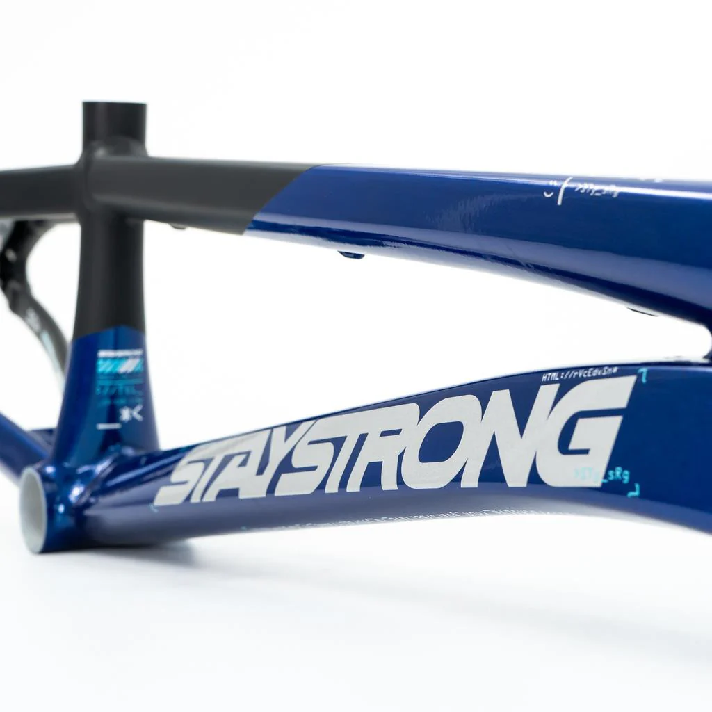 Stay Strong For Life V5 Pro XXL Frame 2025 - Image 5