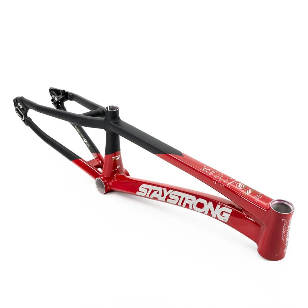 Stay Strong For Life V5 Pro XXXL Frame 2025 - Image 14