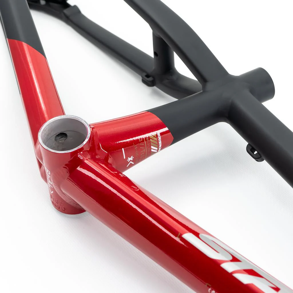 Stay Strong For Life V5 Pro XXXXL Frame 2025 - Image 12