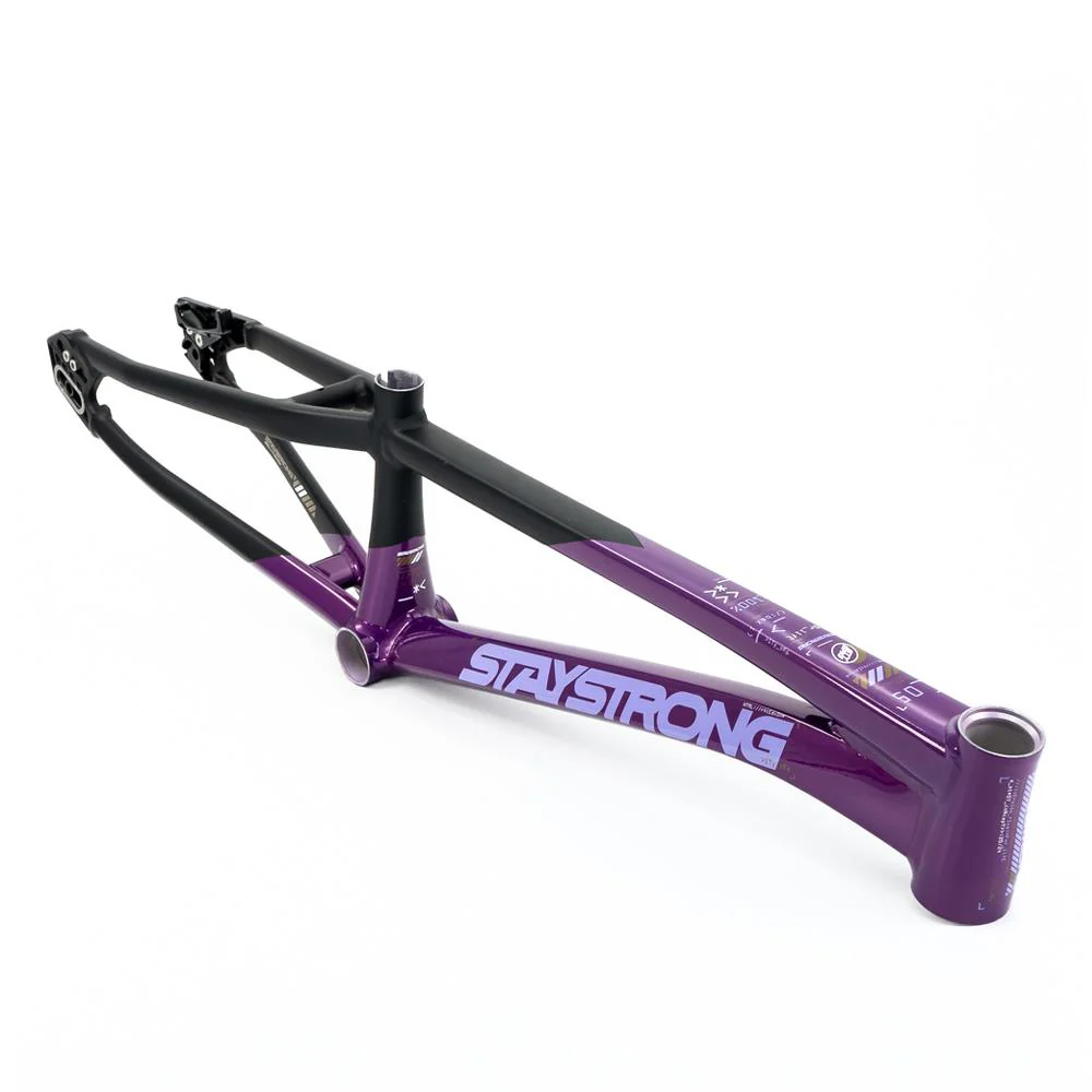 Stay Strong For Life V5 Pro XXXXL Frame 2025 - Image 15