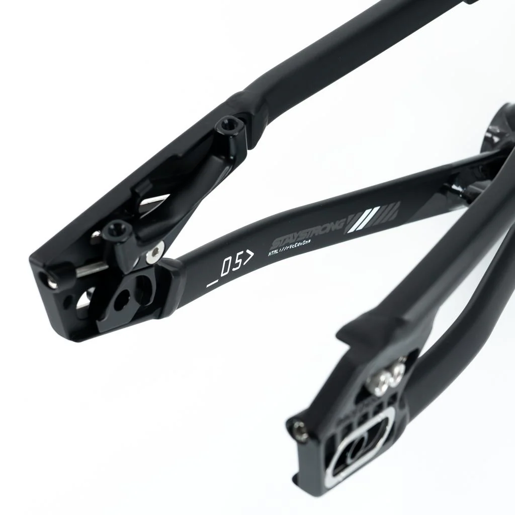 Stay Strong For Life V5 Pro XXXXL Frame 2025 - Image 4