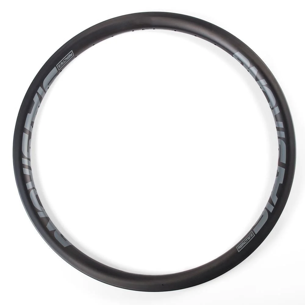 Stay Strong Reactiv 2 Carbon 24" Cruiser Race Front Rim - Image 10