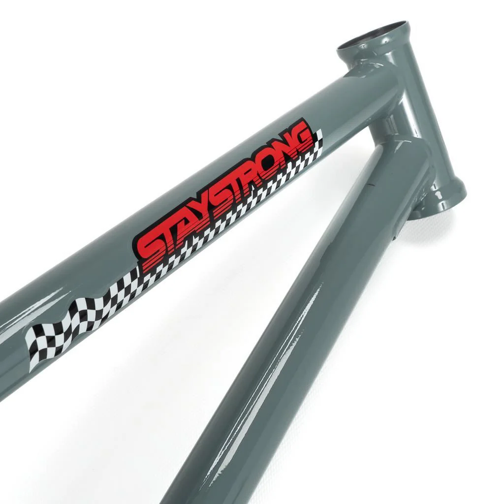 Stay Strong Speed & Style Pro XXL Cruiser Race Frame - Image 5